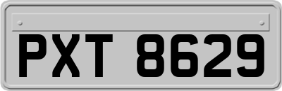 PXT8629