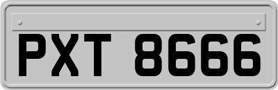 PXT8666