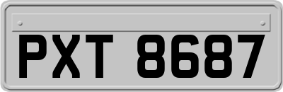 PXT8687