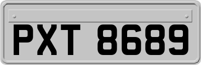 PXT8689