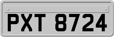 PXT8724