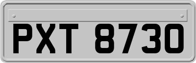 PXT8730