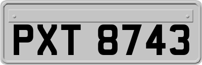 PXT8743