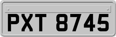 PXT8745