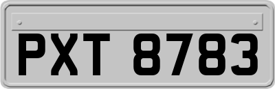 PXT8783