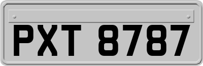 PXT8787