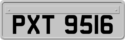 PXT9516