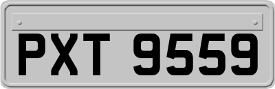 PXT9559