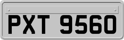 PXT9560