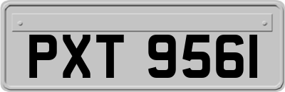 PXT9561