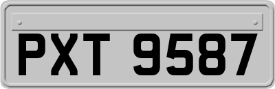 PXT9587