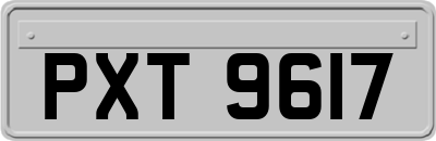 PXT9617