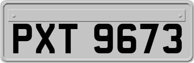 PXT9673