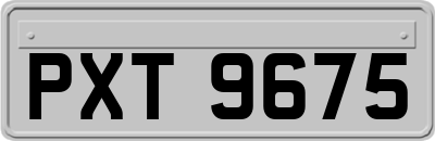 PXT9675