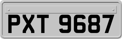 PXT9687