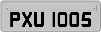 PXU1005