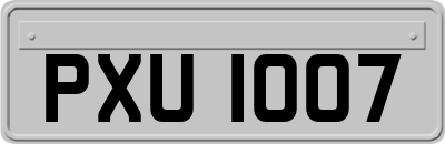 PXU1007