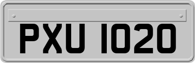 PXU1020