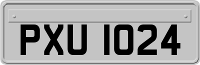 PXU1024