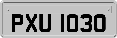 PXU1030