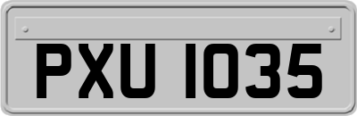 PXU1035