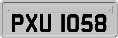 PXU1058