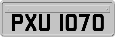 PXU1070