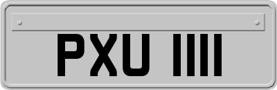PXU1111