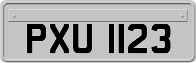 PXU1123