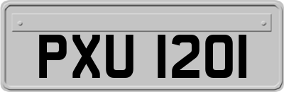 PXU1201