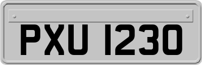 PXU1230