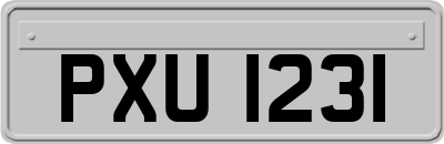 PXU1231