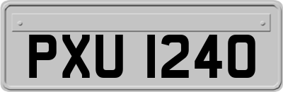 PXU1240