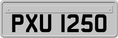 PXU1250