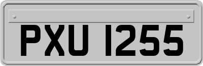 PXU1255