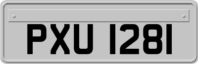 PXU1281