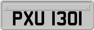 PXU1301