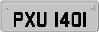 PXU1401