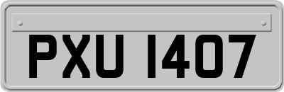 PXU1407