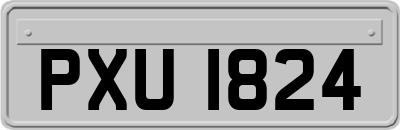 PXU1824