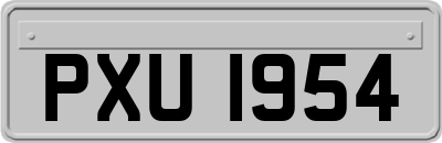 PXU1954