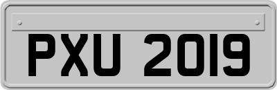 PXU2019