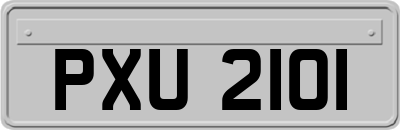 PXU2101