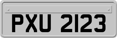 PXU2123