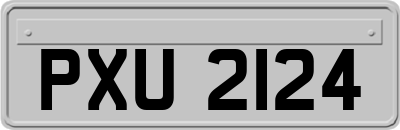 PXU2124