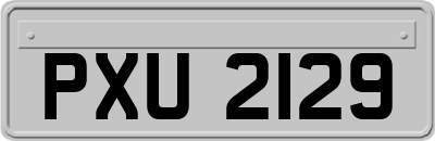 PXU2129