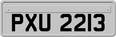 PXU2213