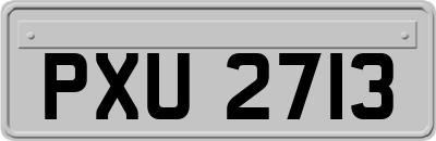 PXU2713