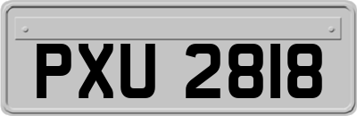 PXU2818