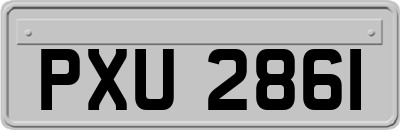 PXU2861